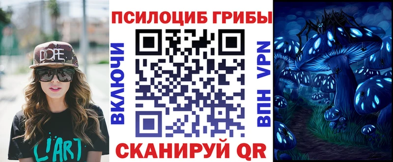 ОМГ ОМГ рабочий сайт  Правдинск  Псилоцибиновые грибы мицелий 