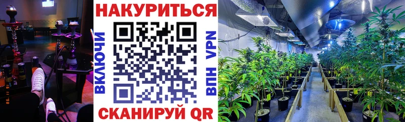 Бошки марихуана планчик  мега вход  Правдинск 